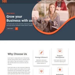 Premium website development with responsive design and custom branding