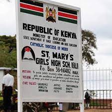 Custom street sign boards in Kenya with reflective vinyl and pole-mount design for roads, estates, and institutional directions